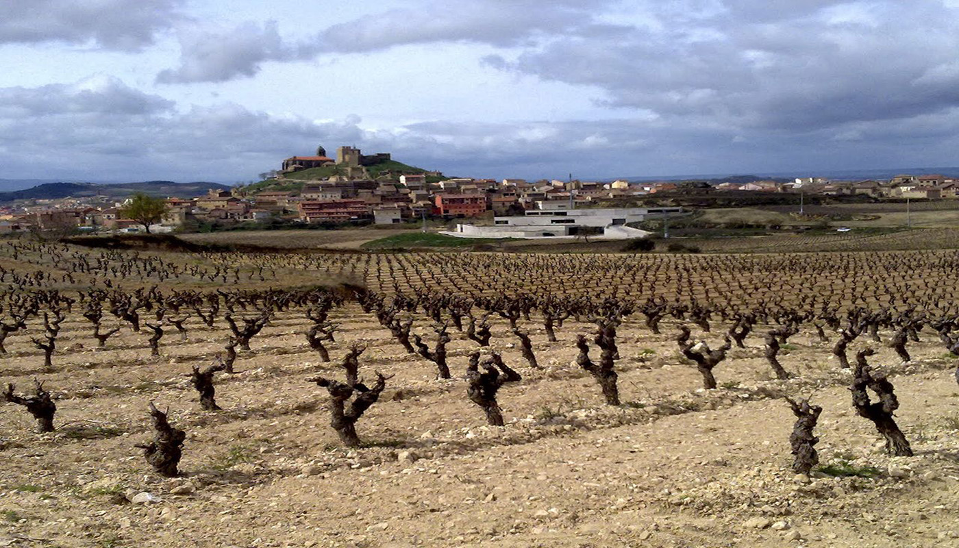 Bodega Contador en San Vicente de la Sonsierra